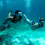 Nemo - Image 3